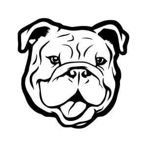 Hey Bulldogs